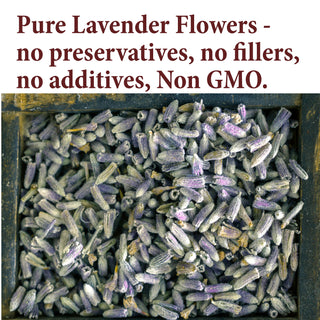 Lavender Flowers